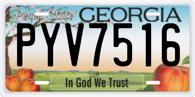 GA license plate PYV7516