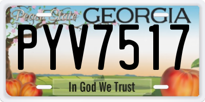 GA license plate PYV7517