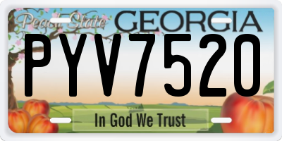 GA license plate PYV7520