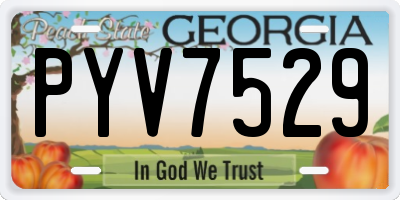 GA license plate PYV7529