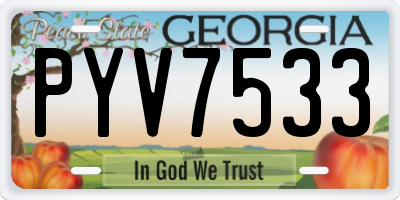 GA license plate PYV7533