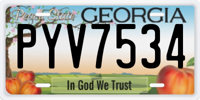 GA license plate PYV7534