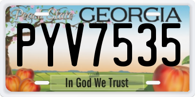 GA license plate PYV7535