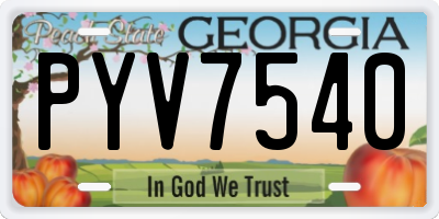 GA license plate PYV7540
