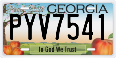 GA license plate PYV7541