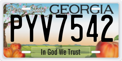 GA license plate PYV7542