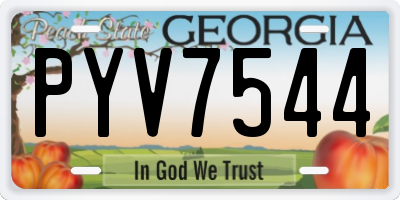 GA license plate PYV7544