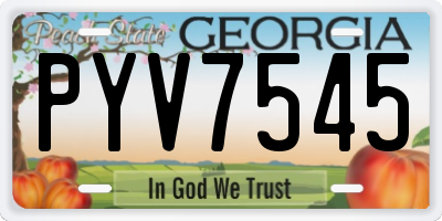 GA license plate PYV7545