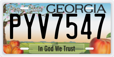 GA license plate PYV7547