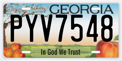 GA license plate PYV7548