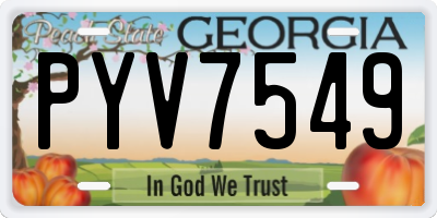 GA license plate PYV7549