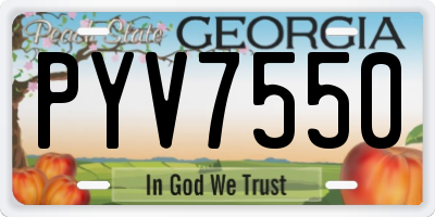 GA license plate PYV7550