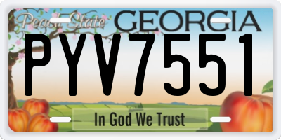 GA license plate PYV7551