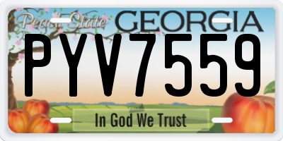GA license plate PYV7559