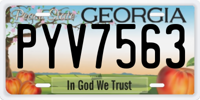 GA license plate PYV7563