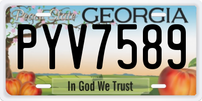 GA license plate PYV7589