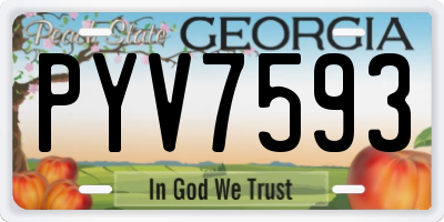 GA license plate PYV7593