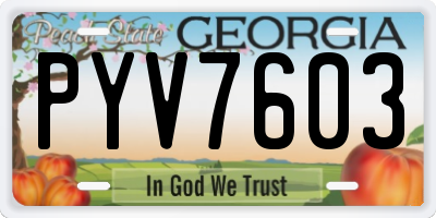 GA license plate PYV7603