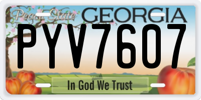 GA license plate PYV7607