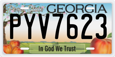 GA license plate PYV7623