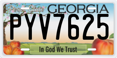 GA license plate PYV7625