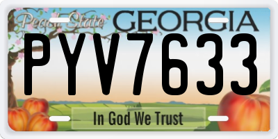 GA license plate PYV7633