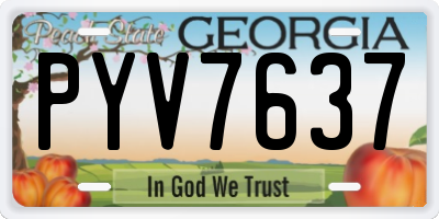GA license plate PYV7637