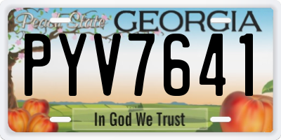 GA license plate PYV7641