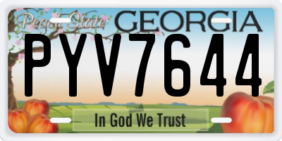 GA license plate PYV7644