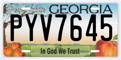 GA license plate PYV7645