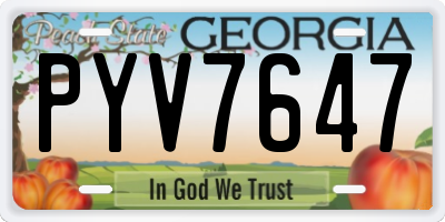 GA license plate PYV7647