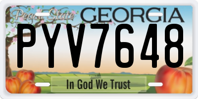 GA license plate PYV7648