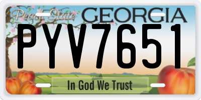 GA license plate PYV7651