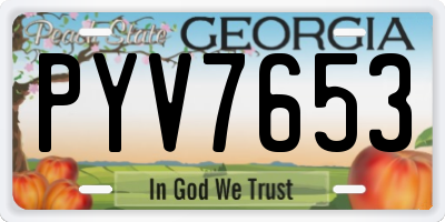 GA license plate PYV7653