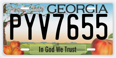 GA license plate PYV7655