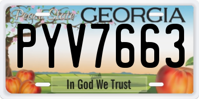 GA license plate PYV7663