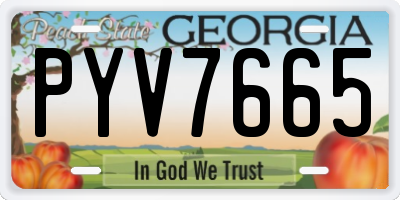 GA license plate PYV7665