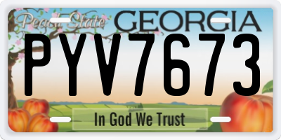 GA license plate PYV7673
