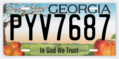GA license plate PYV7687