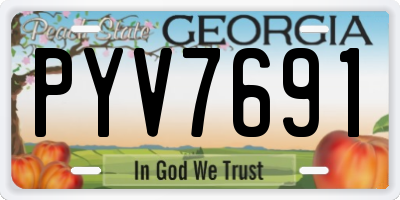 GA license plate PYV7691