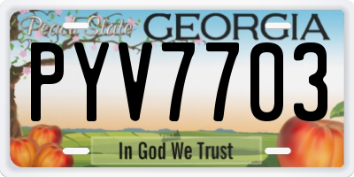 GA license plate PYV7703