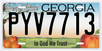 GA license plate PYV7713