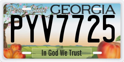 GA license plate PYV7725