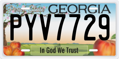 GA license plate PYV7729