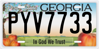 GA license plate PYV7733