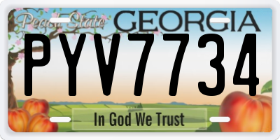 GA license plate PYV7734