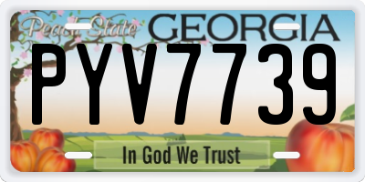 GA license plate PYV7739
