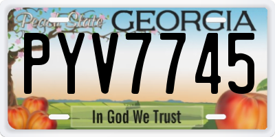 GA license plate PYV7745