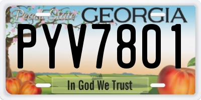 GA license plate PYV7801