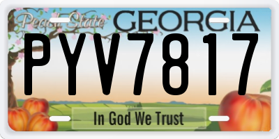 GA license plate PYV7817